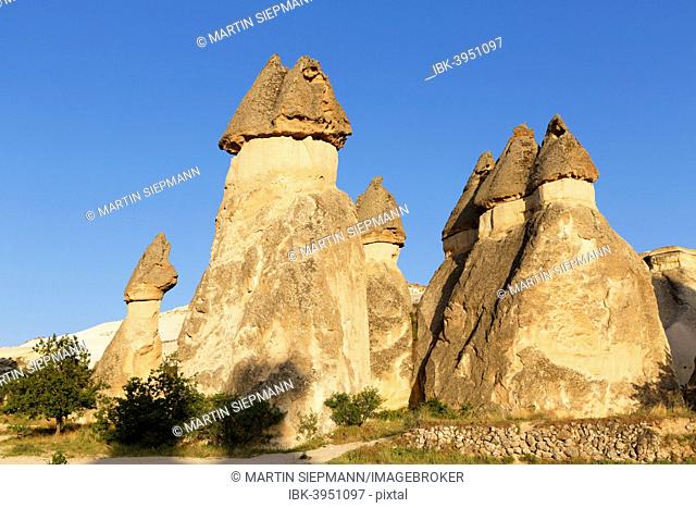Fairy chimneys, tufa formations, Valley of the Monks, Pasabagi, Goreme National Park, Cappadocia, Central Anatolia Region, Anatolia, Turkey