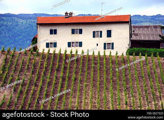 'La cave de Geneve' wine region, farm in vineyards, Russin, Geneva, canton Geneva, Switzerland, Europe