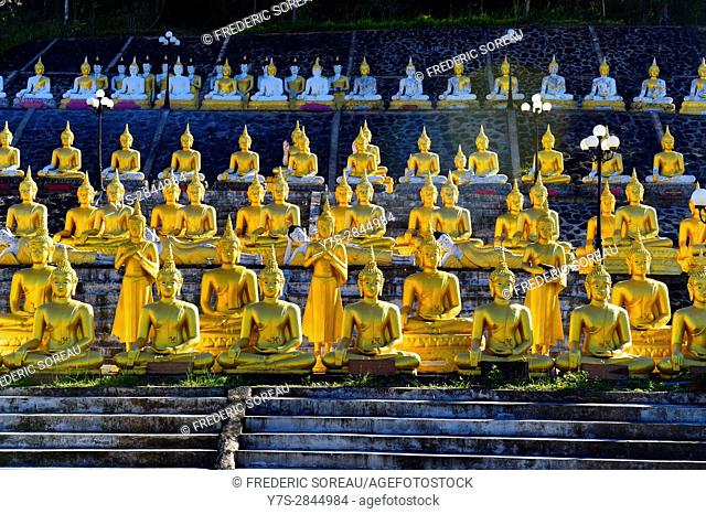 Golden Buddha near Pakse, South Laos, Southeast Asia