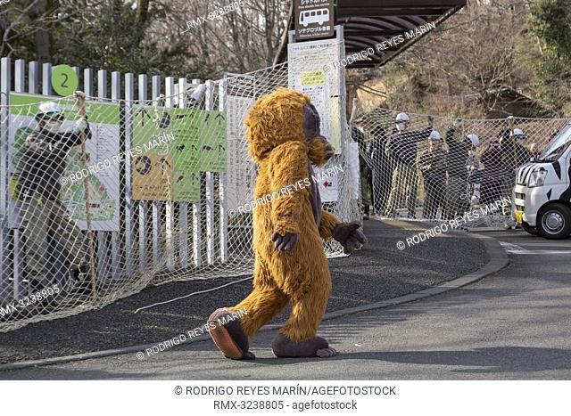 February 22, 2019, Tokyo, Japan - A zookeeper wearing orangutan costume tries to escape while zookeepers hold up a net in an attempt to capture it during an...