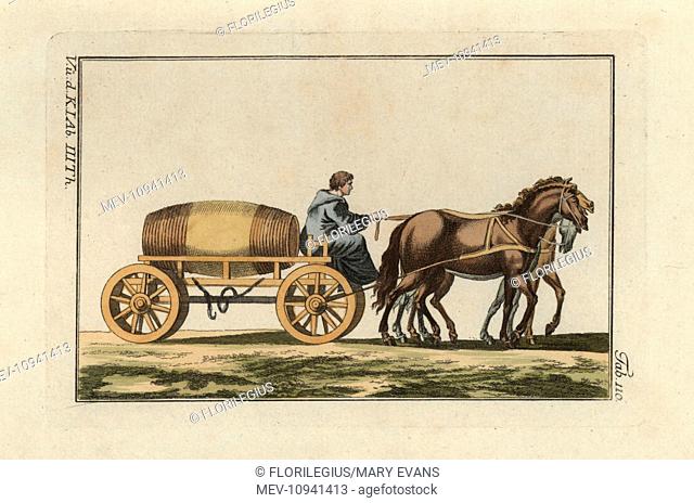 Sabine man in hooded cape, Cucullus or Bardocucullus, riding a three-horse, four-wheeled wagon. . Handcolored copperplate engraving from Robert von Spalart's...
