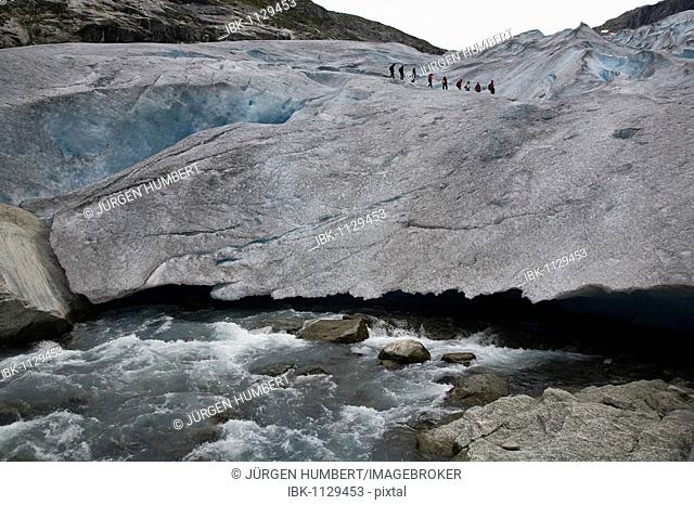 The Glacier Snout of the Nigardsbreen with glacier hikers, Jostedalsbreen, Sogn og Fjordane, Norway