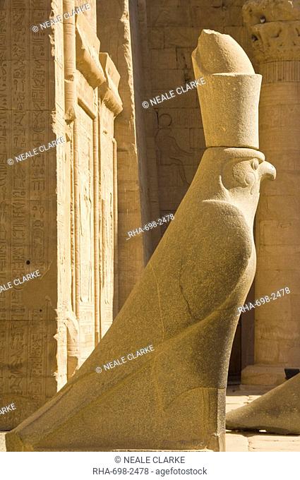Statue of Horus the falcon outside the doorway to the sandstone Temple of Horus at Edfu, Egypt, North Africa, Africa