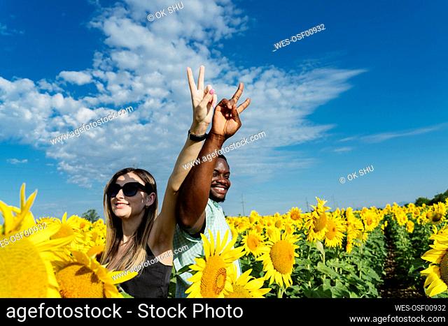 Smiling woman and man gesturing peace sign in sunflower field