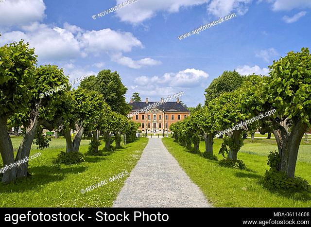 Lindenallee with Bothmer Castle in Kltz, Mecklenburg-West Pomerania, Germany