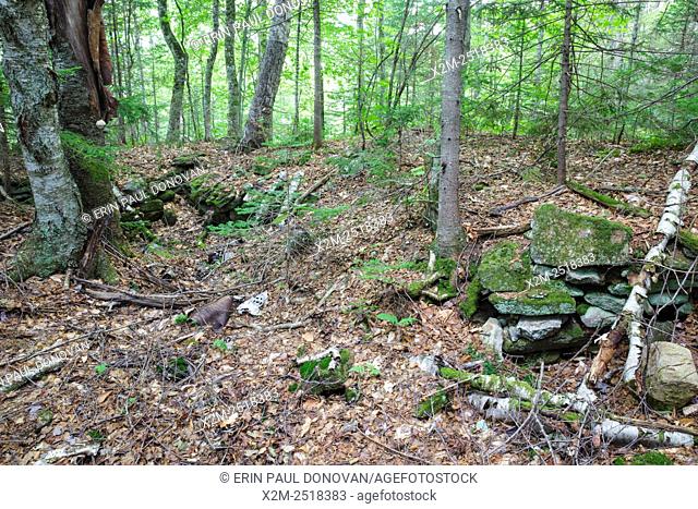 The Seldon Avery Place home site cellar hole along Sandwich Notch Road in Sandwich, New Hampshire USA. During the early nineteenth century