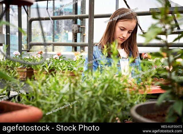 Girl tending to flowers in a greenhouse