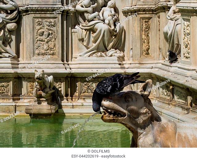 Pigeon sits on she-wolf sculpture in the Fonte Gaia on the Piazza del Campo in Siena, Italy