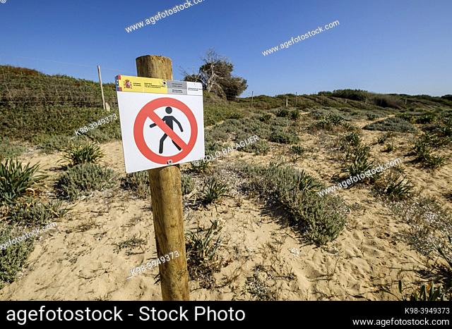 Notice for the Dune Protection, Es Dofi beach, Ses Salines, Mallorca, Balearic Islands, Spain