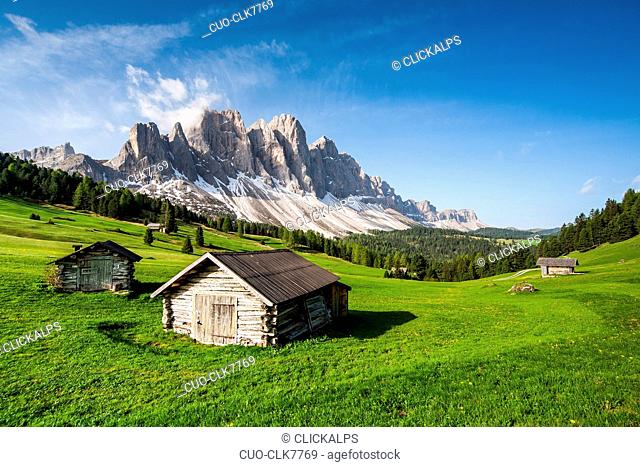 View of the Odle from Malga Caseril, Puez Natural Park, Funes Valley, Dolomites, Trentino-Alto Adige, Italy, Europe