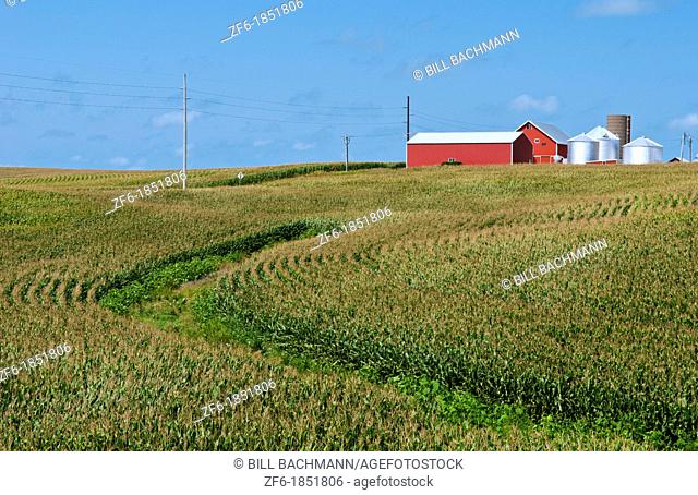 Perfect calendar image of farm near Dyersville Iowa with red barn and corn rows