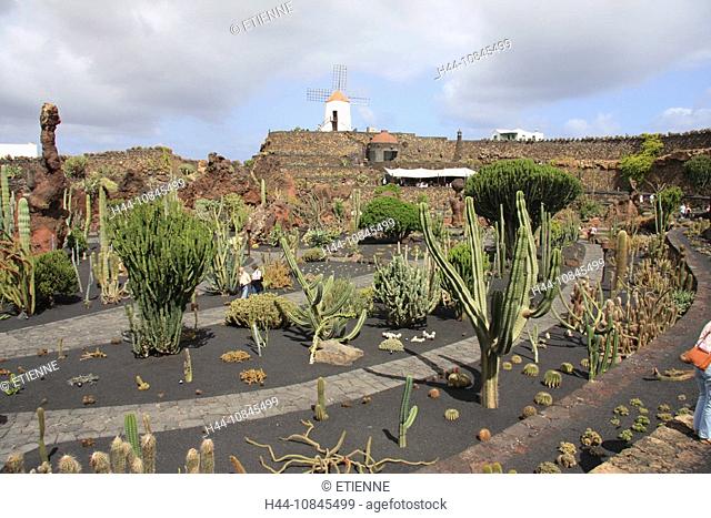 Lanzarote island, Spain, Europe, Canary islands, Jardin de Cactus, cactus garden, cacti, Cesar Manrique, travel, volca