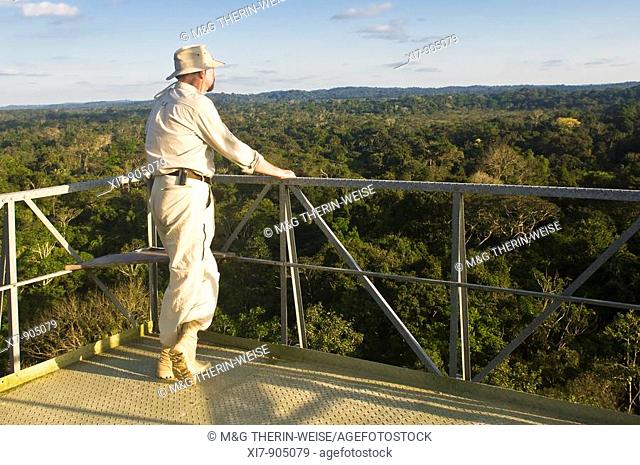 Man looking over the the Amazon forest from a canopy tower, Cristalino State Park, Alta Floresta, Mato Grosso, Brazil