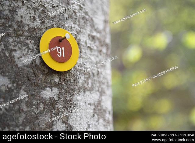 17 May 2021, Bavaria, Krün: A yellow plaque on a tree in the first natural cemetery ""Silent Forest Mittenwald"" of the Bavarian State Forests