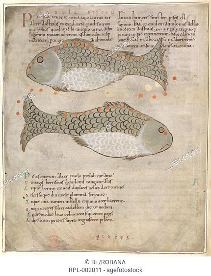 Illustration of the constellation Pisces, with text Image taken from Cicero's Aratus. Originally published/produced in England Winchester