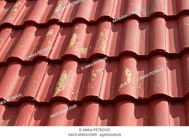 Close-up of roof tiles, Moreleta Park, Pretoria, Gauteng Province, South Africa