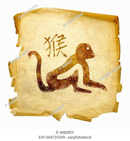 Monkey Zodiac icon, isolated on white background
