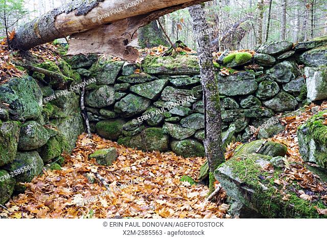 The stone work of an abandoned cellar hole along the old North and South Road (now Long Pond Road) in Benton, New Hampshire