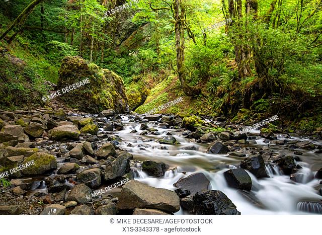 Bridal Veil trail, stream and waterfall is one of the most visited sites in the Columbia River Gorge