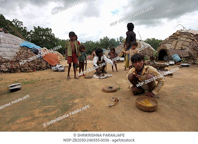 Tribal man and children handling snakes. Musahar or Bhuija tribe. Keredari village and block, District Hazaribaug, Jharkhand, India