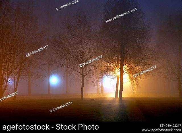 Foggy park at night with distant lamps