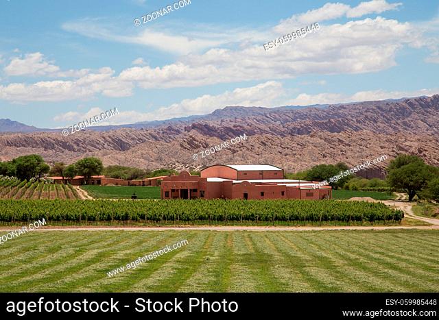 Angastaco, Argentina - November 13, 2015: Photograph of the vineyard Bodega El Cese on the route 40 in Northwest Argentina
