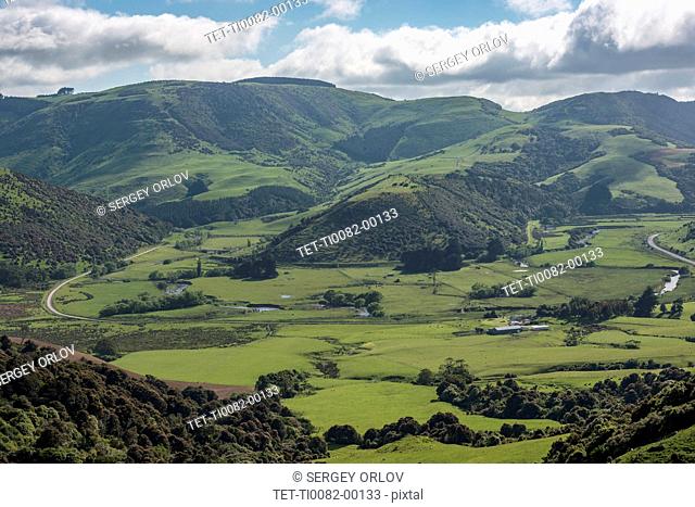 Rural landscape in Tawanui, New Zealand