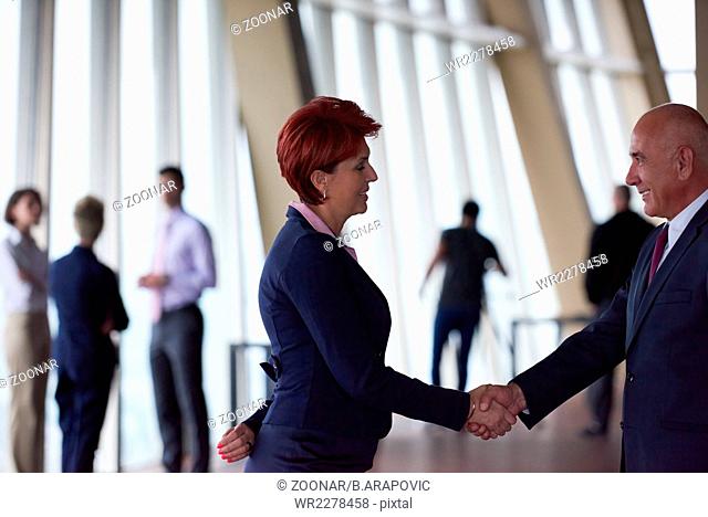 handshake of business woman and man