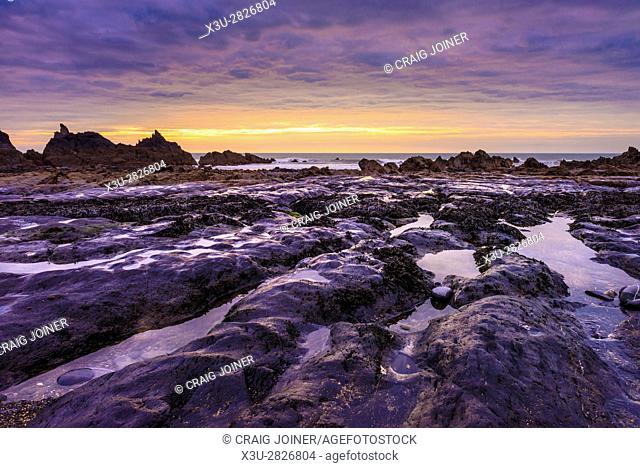Rock ledge exposed at low tide at Duckpool on the Heritage Coast of North Cornwall, England