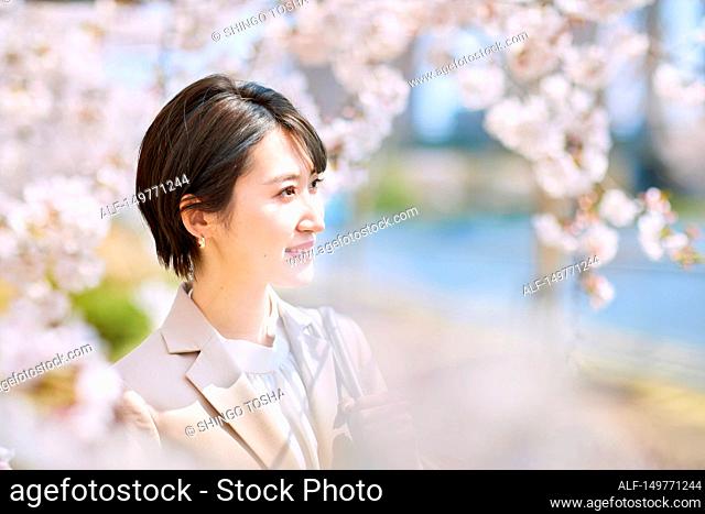 Young Japanese woman and cherry blossoms
