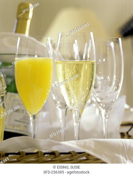 Mimosa and Champagne