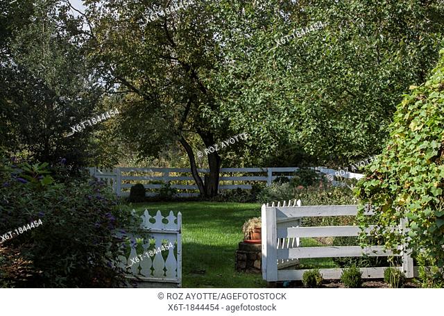 a backyard in summer, green grass, verdant trees and an antique white wooden fence with an open gate