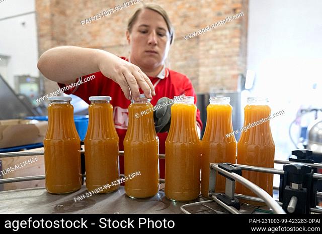 20 September 2023, Saxony, Possendorf: Veronika Neumann, employee, stands at the bottling line in the Sonntag organic wine press