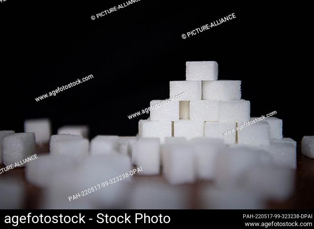 11 May 2022, Bremen: ILLUSTRATION - Sugar cubes lie stacked on a dark background. Photo: Melissa Erichsen/dpa. - Bremen/Bremen/Germany