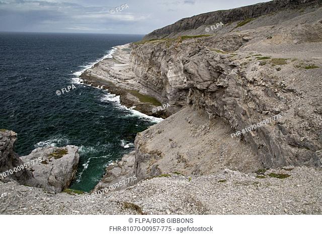 View of limestone sea cliffs, Burnt Cape Ecological Reserve, Raleigh, Great Northern Peninsula, Newfoundland, Canada, July