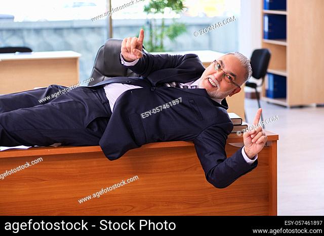 Senior businessman employee working in the office