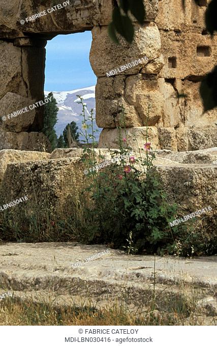 Archeological site - Jupiter Temple - View of the Liban Mount