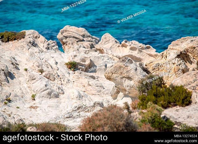 Stone coast with sea
