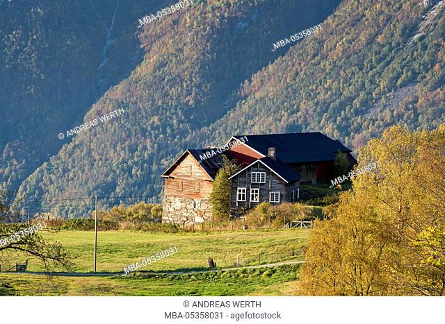 Farmhouse above Lustrafjord, the inner branch of the Sognefjord, meadows, mountain slope, Sogn og Fjordane, Norwegen