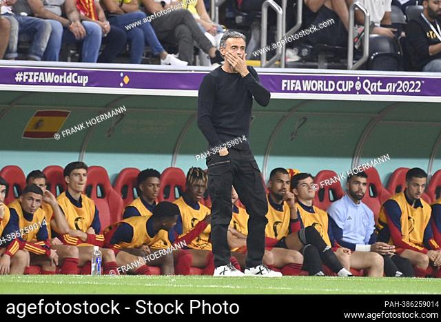Luis ENRIQUE, coach (ESP), single image, cut out, full body shot, whole figure Spain (ESP) - Germany (GER) 1-1, group phase Group E, 2nd matchday