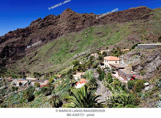 Masca in the Teno massif, Tenerife, Canary Islands, Spain