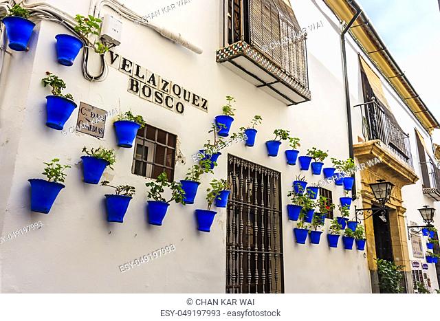 White walls and blue flower pots at Calle Velazquez Bosco near Calleja de las Flores (The Street of Flowers)