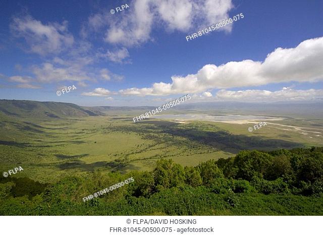 Ngorongoro Crater, rim, Tanzania, Africa