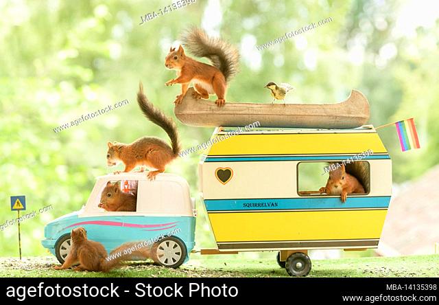 red squirrels are standing in an car and an house car with flag