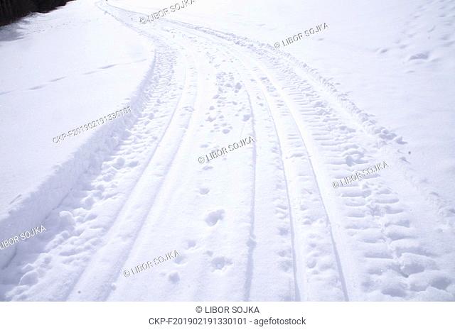 Winter, snow, cross country skiing trails in Schladming Dachstein Region, Mitterberg-Sankt Martin municipality, Styria, Austria, on February 1, 2019