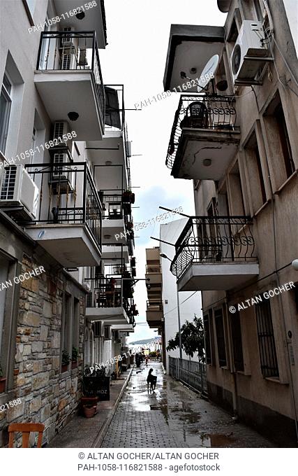26 January 2019, Turkey, Izmir, Foca: A stray dog walks through a narrow path surrounded by residential buildings in the old town