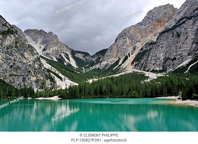 Turquoise water of the lake Lago di Braies / Pragser Wildsee surrounded by pine forest and mountains in the Prags Dolomites in South Tyrol, Italy