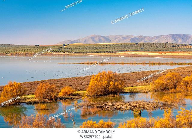 Laguna de Fuente Piedra Nature Reserve and residence for many birds from April till August including flamingos, Malaga, Andalucia, Spain, Europe