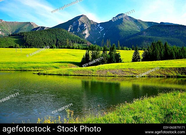 The two highest mountains of the Belianske Tatra, Havran and Zdiarska vidla, in the evening sun. A yellow flower meadow and a pond in front
