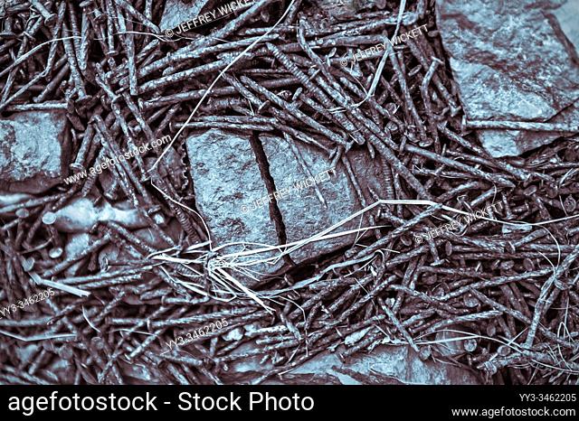 Close-up view of fire pit debris after many years of pallet burning at Herring Cove near Sitka, Alaska, USA
